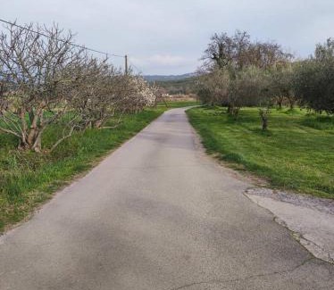 Koper Apartamento | Na Zeleni cesti/On the green road