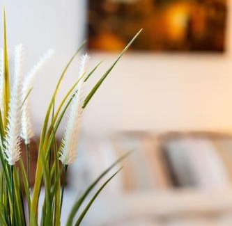 St. Gallen Apartamento | Nachhaltig Wohnen im 1, Stock, gratis Parkplatz!