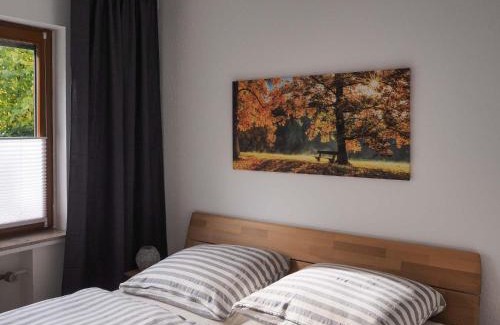 Birkelback Apartamento | Nachhaltige-Ferienwohnung-Wisentsteig-Wandern-Waldbaden-Wohlfuehlen