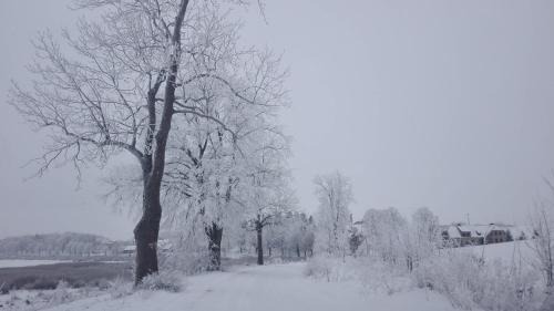 Biała Olecka Casa | Nad stawem