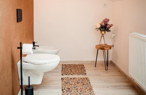 Ceska Lipa Apartamento | Nadstandardní luxusní apartmán v centru České Lípy