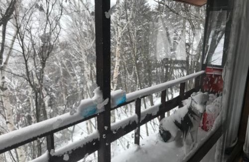 Yuzawa Chalet De Esquí | Naeba Ski Resort - Cabin away from usual life