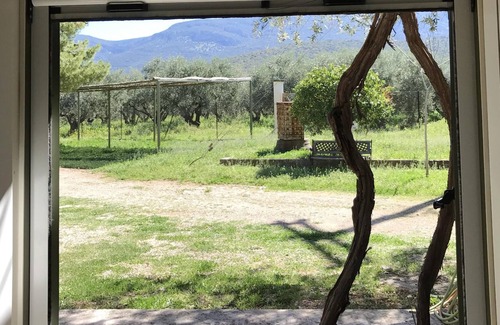 Kefalari Cabaña | Nafplio Cottage - LA PROPIEDAD DE KOTSONIS, Olive Grove