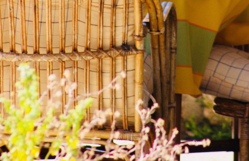 Kefalari Cabaña | Nafplio Cottage - LA PROPIEDAD DE KOTSONIS, Olive Grove