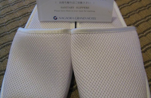 Nagaoka Hotel | Nagaoka Grand Hotel
