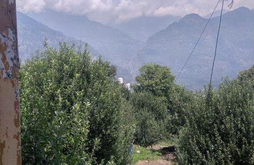 Naggar Casa | Naggar snow view