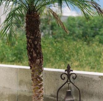 Tokeshi Casa | Nakagami-gun - House/Vacation STAY 80729