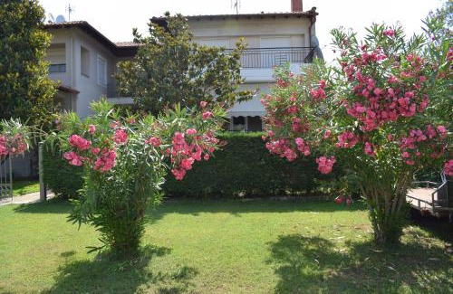 Stavros Casa | Nakis Apartment All Seasons