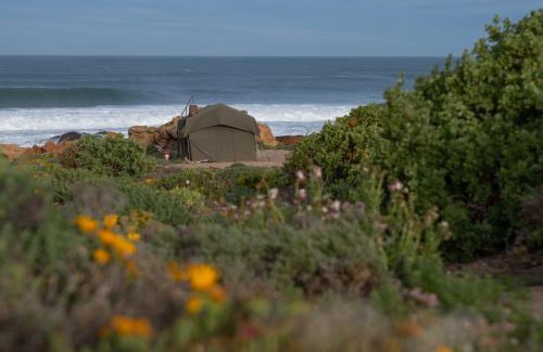 Kamiesberg Otro | Namaqua Flowers Beach Camp