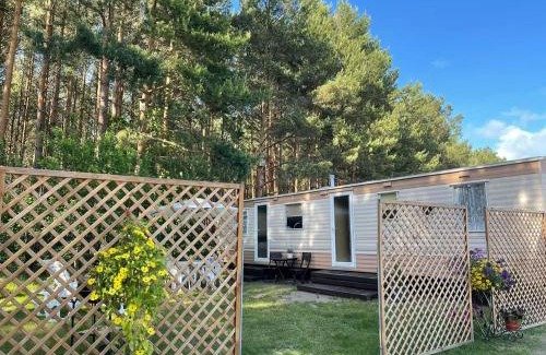 Palanga Casa | Namelis Pušų pakrašty
