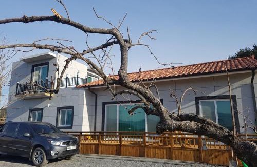 Namhae Casa | Namhae One Fine Day Private Pension