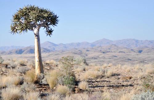 Solitaire Cabina | Namibs Valley Lodge