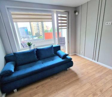 Kaunas Apartamento | Namu muza 3