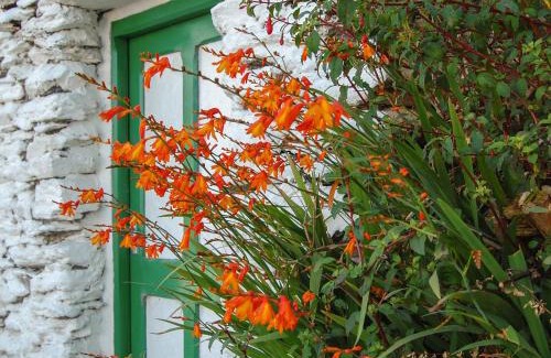 Caherkeen Casa | Nana's House