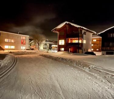 Obergesteln Apartamento | Nanisgarten - Grannys flat