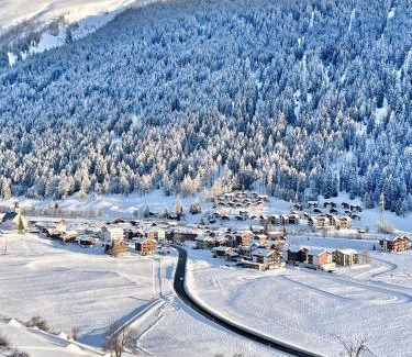 Obergesteln Apartamento | Nanisgarten - Grannys flat