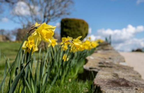 Acrefair Casa | Nant Ucha Farm