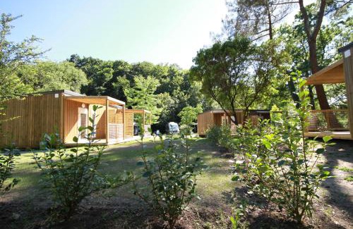 Pont du Cens-Cote d'Or Otro | Nantes Camping Le Petit Port
