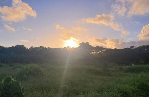Laie Casa | Nanz Campervan Rental + OverNight Parking at Maleka Farm - NS Oahu