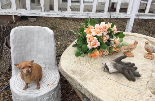 St. Helena Cama Y Desayuno | Napa Farmhouse Inn