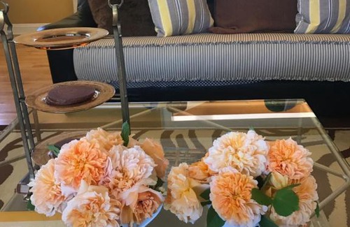 St. Helena Cama Y Desayuno | Napa Farmhouse Inn