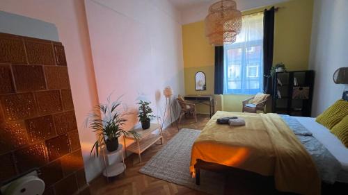 Pecs Apartamento | NAPartman Pécs