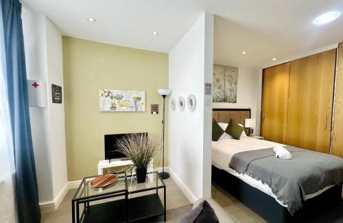 Perry Barr Apartamento | Naps Inn