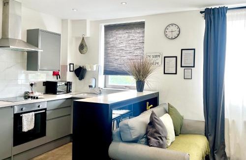Perry Barr Apartamento | Naps Inn