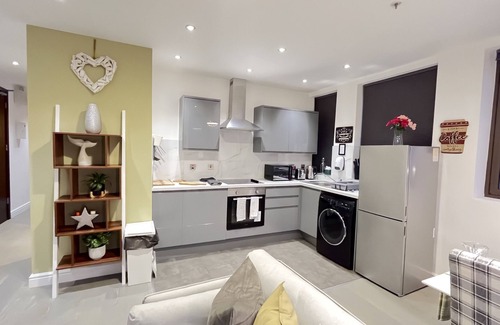 Perry Barr Apartamento | Naps Inn