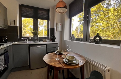 Perry Barr Apartamento | Naps Inn