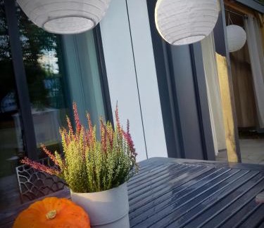 Cminsk Casa | Nasza Baza wśród drzew prywatny dom z balią - jacuzzi Miedziana Góra Kielce świętokrzyskie