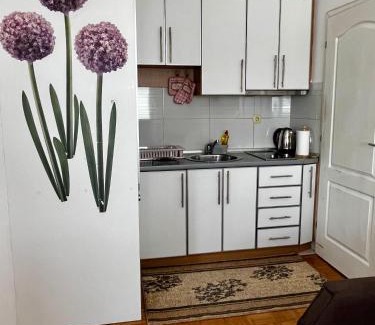 Doboj Apartamento | Nataša