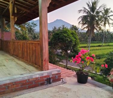 Kecamatan Montong Gading Casa | Nataqueen Bungalows Lombok