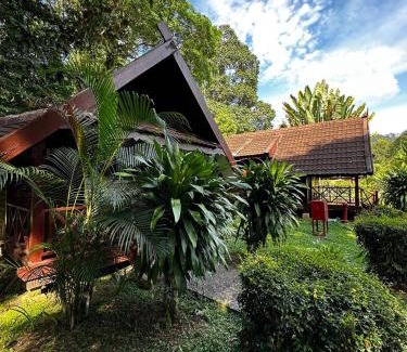 Kuala Tahan Complejo | National Park Mutiara - Kuala tahan