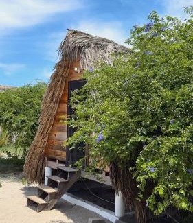 Villa de Tututepec de Melchor Ocampo Otro | Nattivo Chacahua