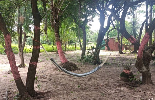 Kafountine Cabina | Natur-ubuntu Eco-lodge