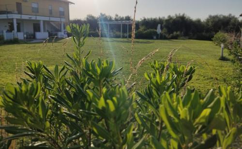 Vasto Cama Y Desayuno | Natura e Mente Camere e Relax
