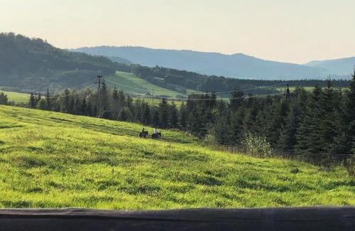 Baligrod Casa | NATURA PARK BIESZCZADY - DOMKI CAŁOROCZNE