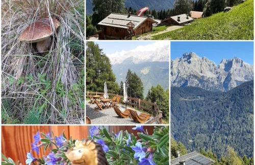 Caderzone Terme Cama Y Desayuno | Natural Lodge Maso Baseta