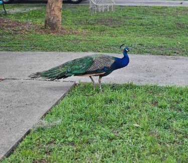 Homosassa Casa | Nature Coast Getaway #1 - Cozy 2 Bedroom