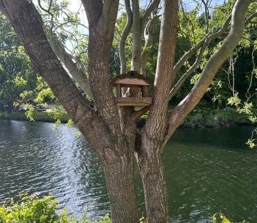 Sao Tiaguinho Apartamento | NATURE e SPA AL - Termas Saúde e Beleza, Totalmente Renovado - Piscinas Municipais em frente - Epoca Julho a Setembro