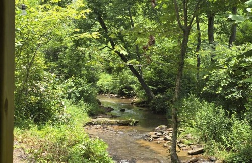 Purlear Cabina | Relaxing Tiny Home On Creek, WIFI, Hot Shower