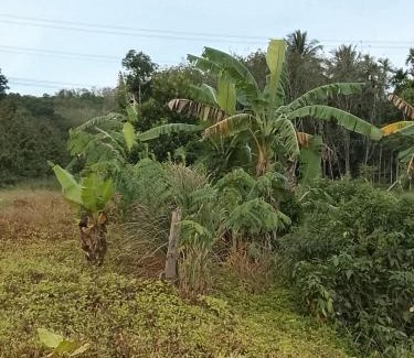 Tamot Otro | Nature House & Camp