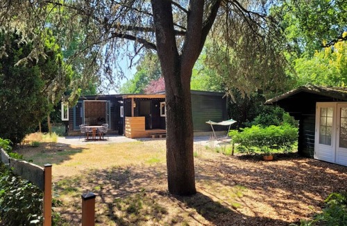 Krachtighuizen Cabina | Nature house De Zwaluw at the Veluwe