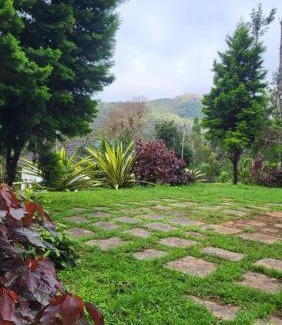 Chikkamagaluru Casa | Nature kings Timber leaf Homestay