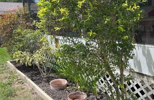Odessa Casa | Nature Oasis Retreat w/ Canal/Lake Access