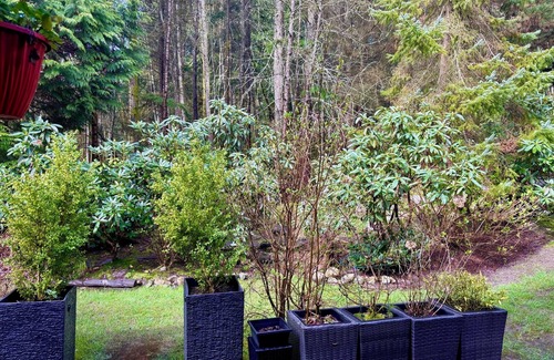 District of North Vancouver Casa | Nature retreat: beach and ski. Luxury large Master bedroom w/ private en-suite.
