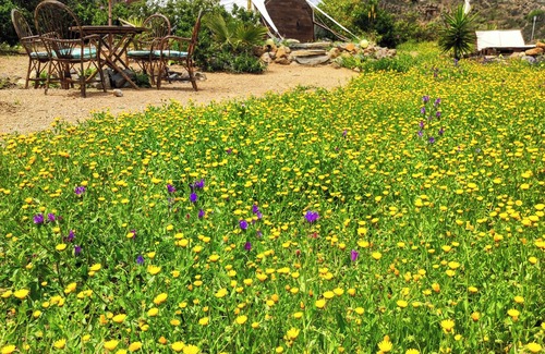 Arico Cabina | Nature retreat with optimal sea views, sunrise and stargazing