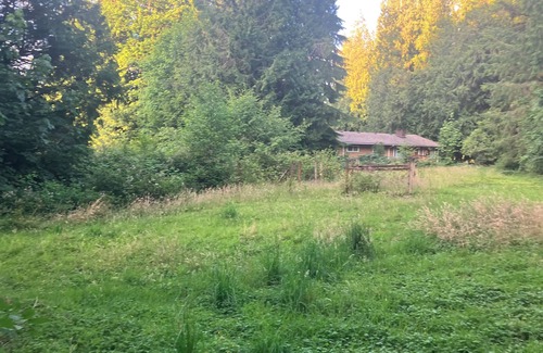 Mirrormont Alquiler De RV | Nature's Paradise Camp Spot!