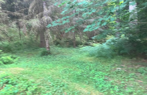 Mirrormont Alquiler De RV | Nature's Paradise Camp Spot!